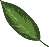 Elemento decorativo