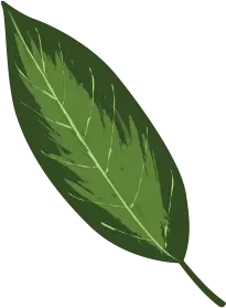 Elemento decorativo