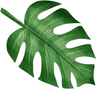 Elemento decorativo