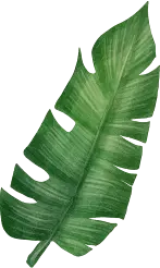Elemento decorativo