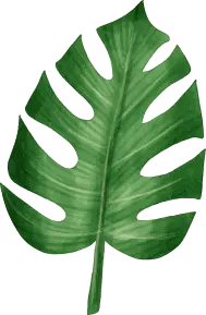 Elemento decorativo