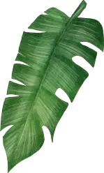 Elemento decorativo